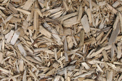 biomass boilers Pepperstock